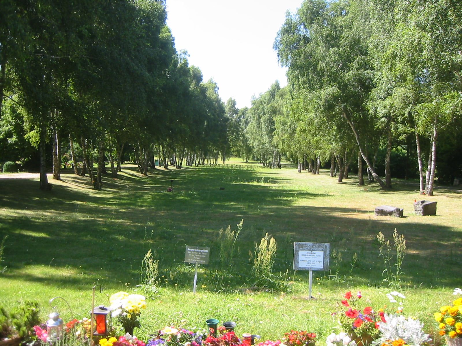 Anonymous burial area lined with flowers and birch trees at Gatow Landscape Cemetery